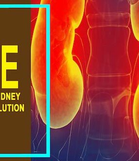 The Chronic Kidney Disease Solution Review