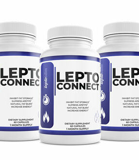 LeptoConnect Review